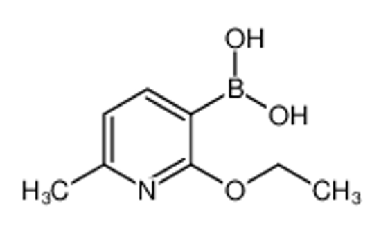 Picture of (2-Ethoxy-6-methylpyridin-3-yl)boronic acid
