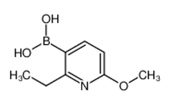 Picture of (2-Ethyl-6-methoxypyridin-3-yl)boronic acid
