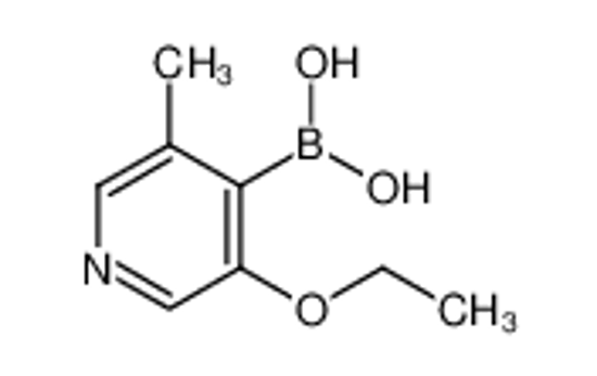 Picture of (3-Ethoxy-5-methylpyridin-4-yl)boronic acid