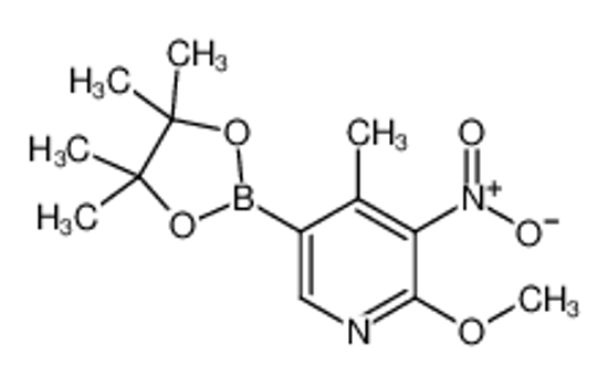 Picture of 2-Methoxy-4-methyl-3-nitro-5-(4,4,5,5-tetramethyl-1,3,2-dioxaborolan-2-yl)pyridine