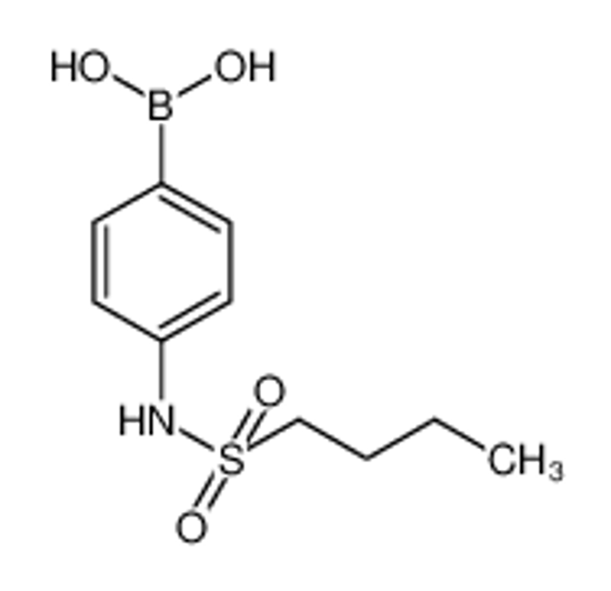 Изображение 4-(Butylsulfonamido)phenylboronic acid