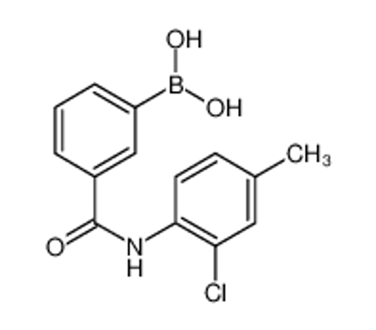 Picture of [3-[(2-chloro-4-methylphenyl)carbamoyl]phenyl]boronic acid