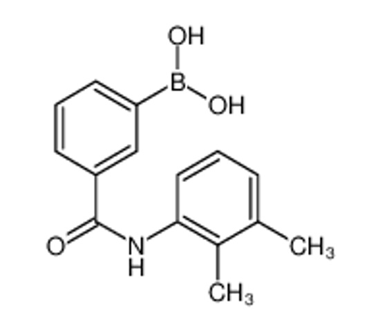 Picture of [3-[(2,3-dimethylphenyl)carbamoyl]phenyl]boronic acid