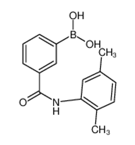 Picture of [3-[(2,5-dimethylphenyl)carbamoyl]phenyl]boronic acid