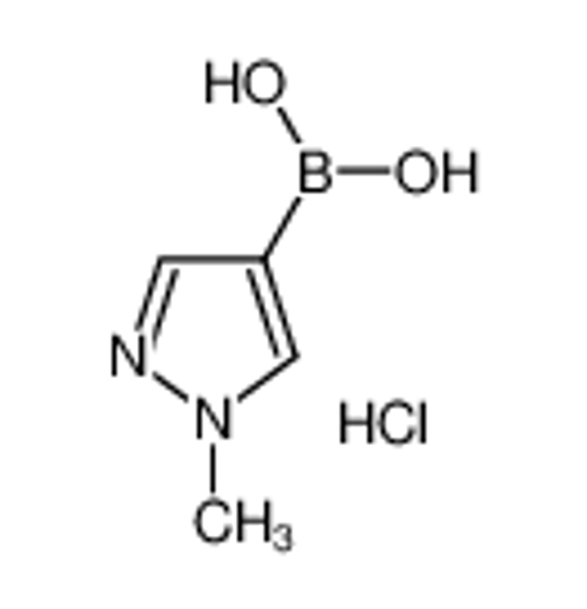 Picture of 1-Methylpyrazole-4-boronic acid, HCl