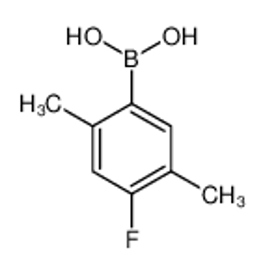 Picture of 4-Fluoro-2,5-dimethylphenylboronic acid