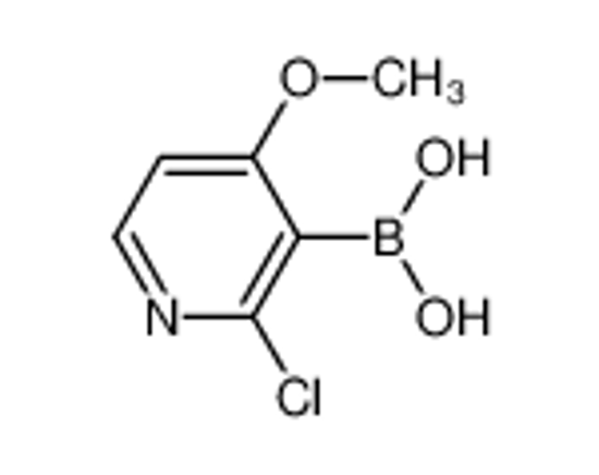 Picture of (2-chloro-4-methoxypyridin-3-yl)boronic acid