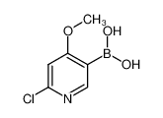 Picture of (6-chloro-4-methoxypyridin-3-yl)boronic acid