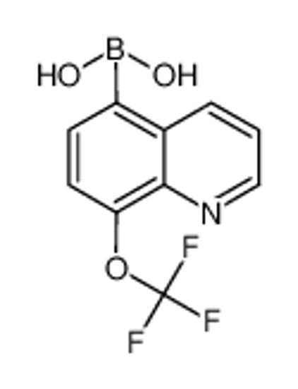 Picture of 8-Trifluoromethoxyquinoline-5-boronic acid