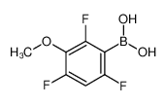 Picture of 3-Methoxy-2,4,6-trifluorophenylboronic acid