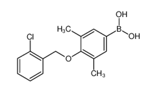 Picture of [4-[(2-chlorophenyl)methoxy]-3,5-dimethylphenyl]boronic acid