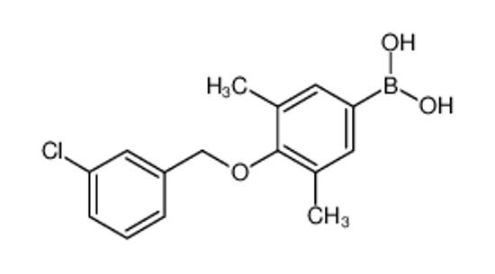 Picture of [4-[(3-chlorophenyl)methoxy]-3,5-dimethylphenyl]boronic acid