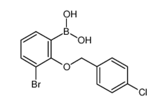 Изображение (3-Bromo-2-((4-chlorobenzyl)oxy)phenyl)boronic acid