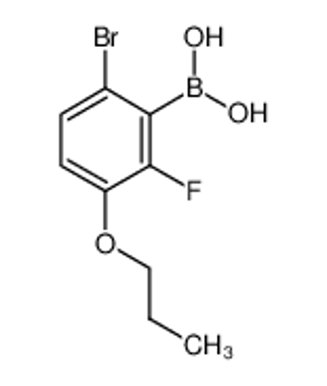 Изображение (6-bromo-2-fluoro-3-propoxyphenyl)boronic acid