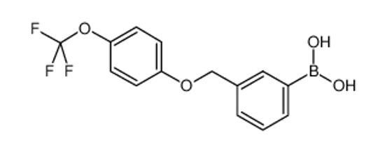 Picture of [3-[[4-(trifluoromethoxy)phenoxy]methyl]phenyl]boronic acid