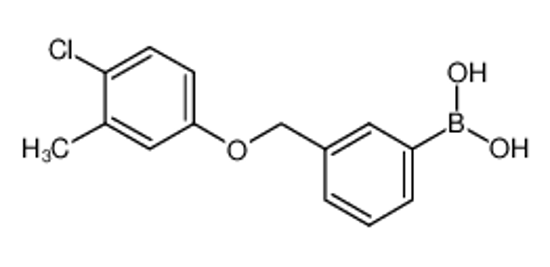 Picture of [3-[(4-chloro-3-methylphenoxy)methyl]phenyl]boronic acid