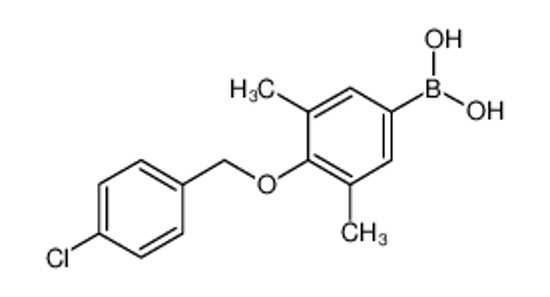 Picture of [4-[(4-chlorophenyl)methoxy]-3,5-dimethylphenyl]boronic acid