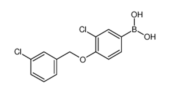 Picture of [3-chloro-4-[(3-chlorophenyl)methoxy]phenyl]boronic acid