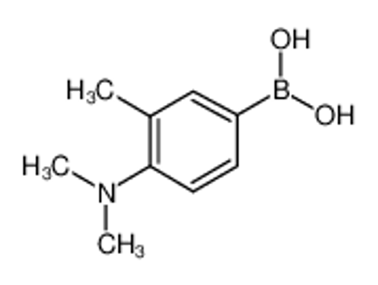 Picture of [4-(dimethylamino)-3-methylphenyl]boronic acid