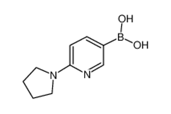 Picture of (6-pyrrolidin-1-ylpyridin-3-yl)boronic acid