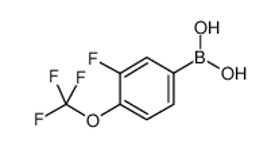 Picture of [3-fluoro-4-(trifluoromethoxy)phenyl]boronic acid