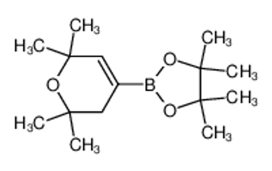 Изображение 4,4,5,5-tetramethyl-2-(2,2,6,6-tetramethyl-3H-pyran-4-yl)-1,3,2-dioxaborolane