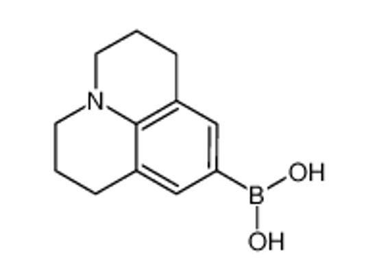 Изображение 9-julolidine boronic acid