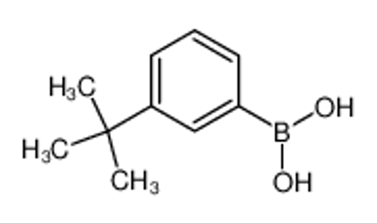 Picture of 3-tert-Butylphenylboronic acid