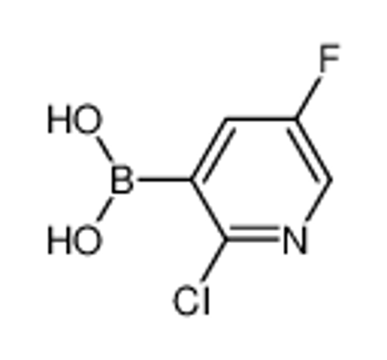 Picture of (2-chloro-5-fluoropyridin-3-yl)boronic acid