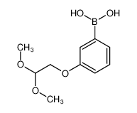 Picture of [3-(2,2-Dimethoxyethoxy)phenyl]boronic acid