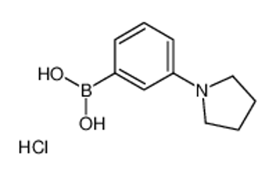 Picture of [3-(1-Pyrrolidinyl)phenyl]boronic acid hydrochloride (1:1)