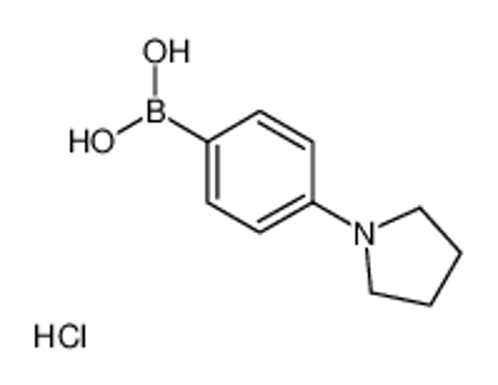 Picture of [4-(1-Pyrrolidinyl)phenyl]boronic acid hydrochloride (1:1)