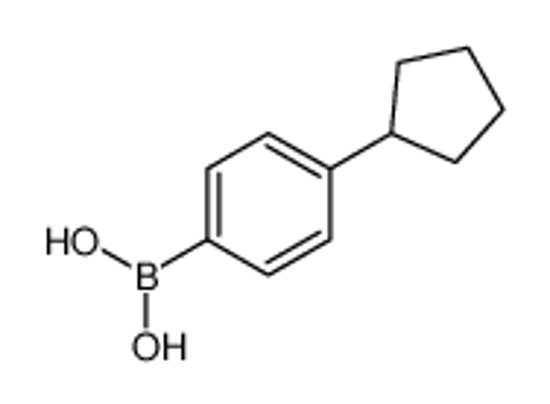 Picture of (4-Cyclopentylphenyl)boronic acid