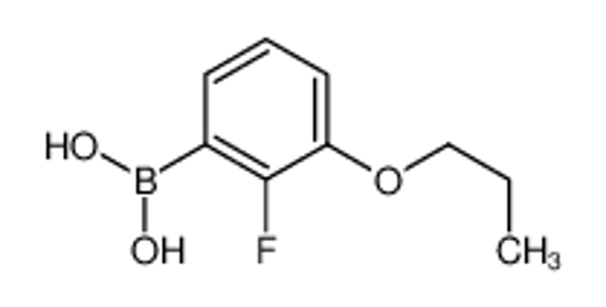 Picture of (2-Fluoro-3-propoxyphenyl)boronic acid