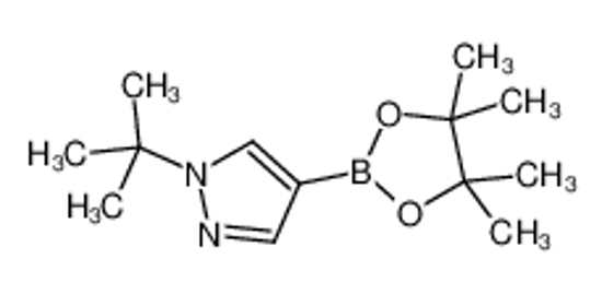 Picture of 1-(tert-Butyl)-4-(4,4,5,5-tetramethyl-1,3,2-dioxaborolan-2-yl)-1H-pyrazole