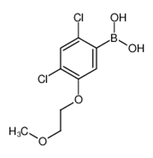 Picture of [2,4-Dichloro-5-(2-methoxyethoxy)phenyl]boronic acid