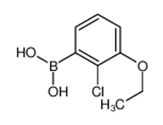 Imagem de (2-Chloro-3-ethoxyphenyl)boronic acid