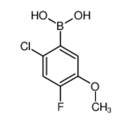 Imagem de (2-Chloro-4-fluoro-5-methoxyphenyl)boronic acid