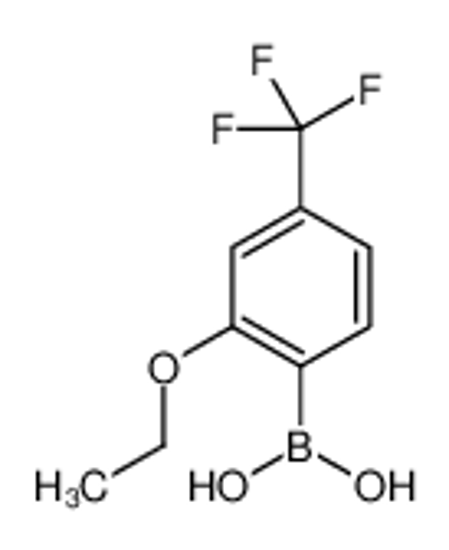Picture of (2-Ethoxy-4-(trifluoromethyl)phenyl)boronic acid
