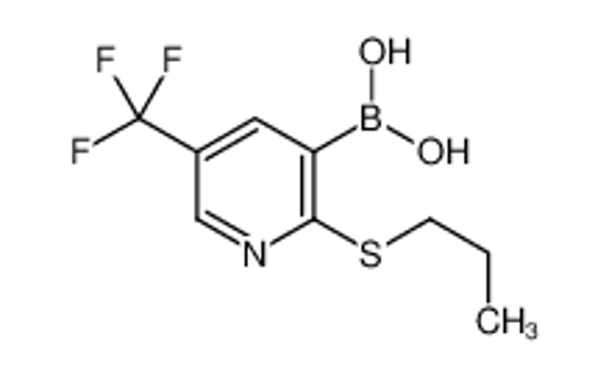 Picture of [2-propylsulfanyl-5-(trifluoromethyl)pyridin-3-yl]boronic acid