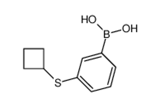 Picture of (3-cyclobutylsulfanylphenyl)boronic acid