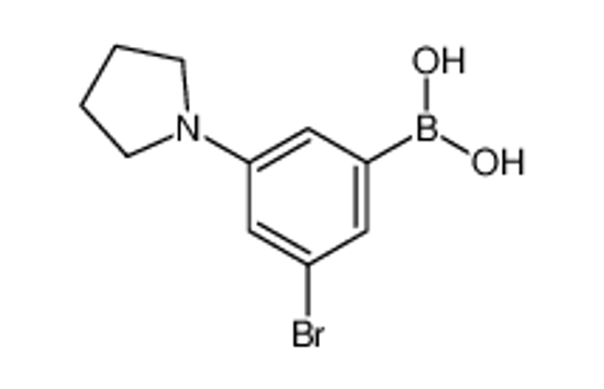 Picture of (3-bromo-5-pyrrolidin-1-ylphenyl)boronic acid