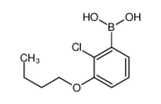 Picture of (3-Butoxy-2-chlorophenyl)boronic acid