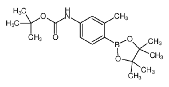 Picture of 4-(Boc-Amino)-2-methylphenylboronic acid, pinacol ester