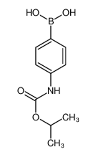 Picture of [4-(propan-2-yloxycarbonylamino)phenyl]boronic acid