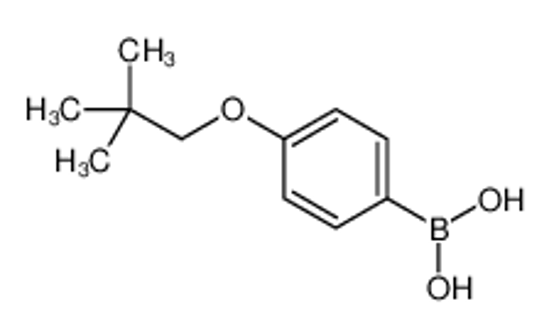 Picture of [4-(2,2-Dimethylpropoxy)phenyl]boronic acid