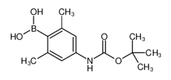 Picture of [2,6-dimethyl-4-[(2-methylpropan-2-yl)oxycarbonylamino]phenyl]boronic acid
