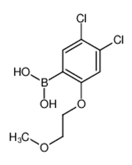 Picture of [4,5-Dichloro-2-(2-methoxyethoxy)phenyl]boronic acid