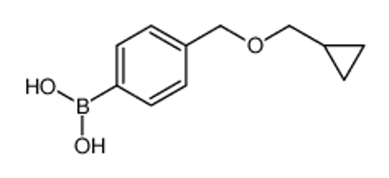 Picture of [4-(cyclopropylmethoxymethyl)phenyl]boronic acid