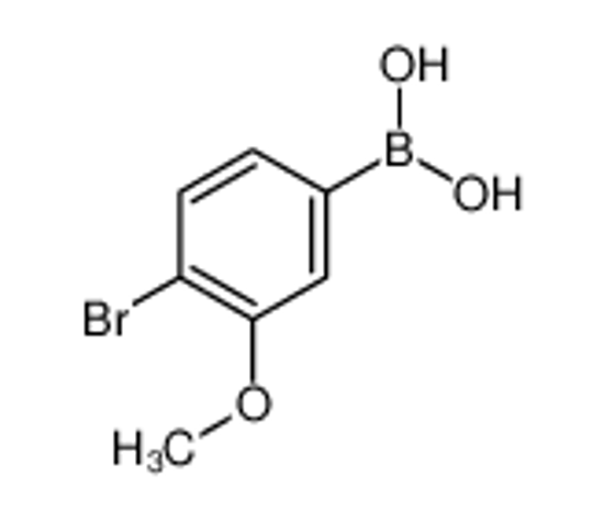 Изображение 4-bromo-3-methoxyphenylboronic acid